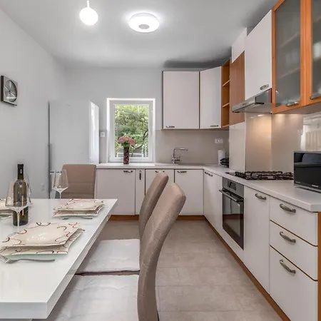 Awesome In With Kitchen Lejlighed Tribalj (Primorsko-Goranska)